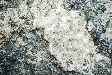 The texture of the stone overgrown with moss. Background image of a boulder