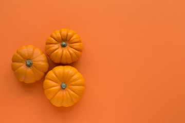 Three pumpkins on a orange background top view
