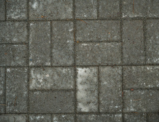 Texture of paving slabs overgrown with grass. Background image of a stratum stone
