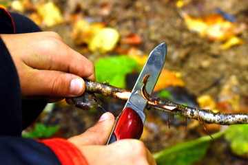 A boy with a knife cleans a stick in the forest. One child plays with a penknife. - obrazy, fototapety, plakaty