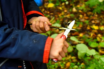 A boy with a knife cleans a stick in the forest. One child plays with a penknife. - obrazy, fototapety, plakaty