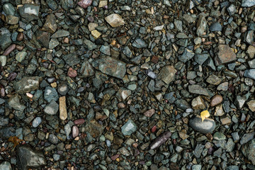 The texture of a shallow river stone. Pebble Background Image
