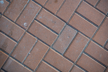 Texture of paving slabs overgrown with grass. Background image of a stratum stone