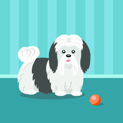 Illustration of dog Lhasa Apso