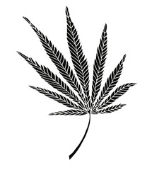 Decorative black trafaret leave of big hemp