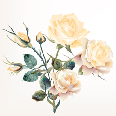 Beautiful vector realistic beige rose in vintage antique high detailed style