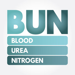 BUN - Blood Urea Nitrogen acronym, medical concept background