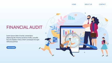 Landing Page Offering Financial Audit Service