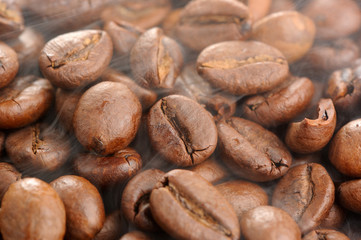 Steaming Roasted Coffee Beans Close Up