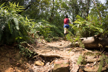 Fototapeta premium Woman ultra marathon runner running on tropical forest trail