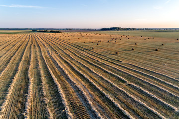 Agricultural fields, countryside. A shot from above.