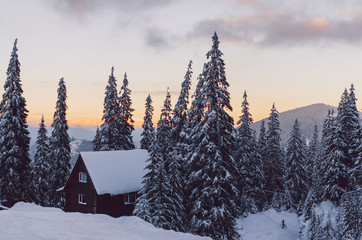 Wooden shack in winter landscape