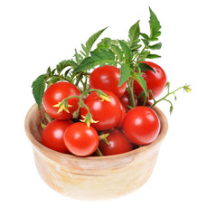 fresh cherry tomatoes with green leaves isolated on white background