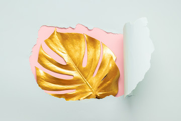 A leaf of a tropical monstera plant is painted in gold color against background of bursting torn paper hole. Art concept
