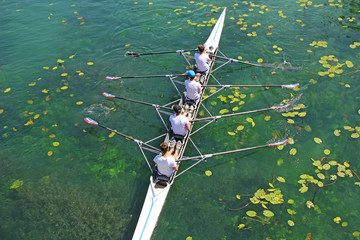 Men's quadruple rowing team on green water