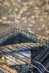 Food Concepts. Spiced Mullet Seafood Preparing on Grill Outdoors.