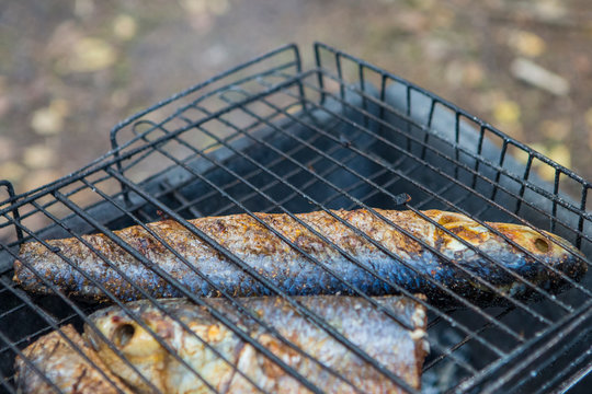 Food Concepts. Closeup of Spiced Mullet Seafood Preparing on Grill Outdoors.
