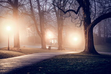 mystical foggy autumn park in october