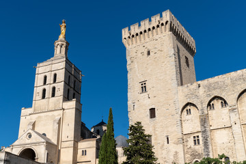 Fototapeta na wymiar papal palace church Avignon Provence in france