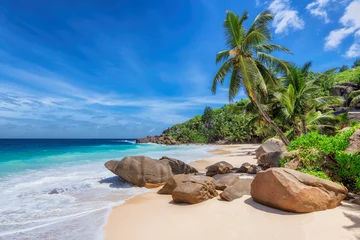 Foto op Plexiglas Exotisch zonnig strand en kokospalmen op de Seychellen. Zomervakantie en tropisch strand concept. © lucky-photo
