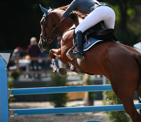 Horse with rider, jumping over an obstacle in the jumping tournament..