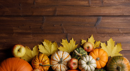 Pumpkins and maple leaves