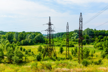 High voltage power line in forest