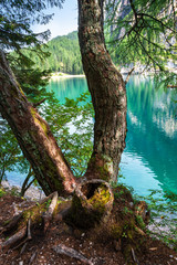 pragser wildsee in den dolomiten in südtirol nord italien