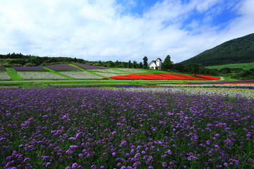宮城県　秋のやくらいガーデン