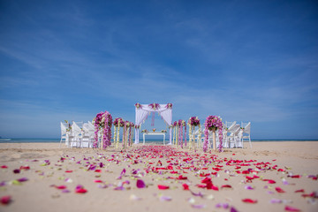 Set Up in the wedding, Beach Wedding.