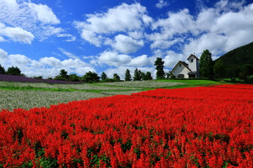 宮城県　秋のやくらいガーデン
