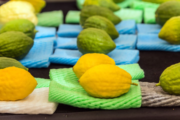 Jewish autumn holiday Sukkot