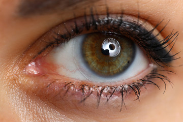 Female left eye wearing contact lens macro
