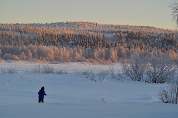 Panoramic view of winter arctic snow covered forest under the sunset lights and boy playing with the snow. Midnight sun in Lapland, Finland