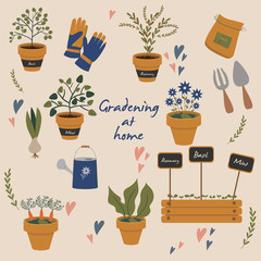 Vector illustration of gardening elements. Plants, equipment and tools for home garden. © OleniaArtShop