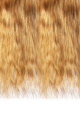 Long damaged straight brown hair isolated on white background