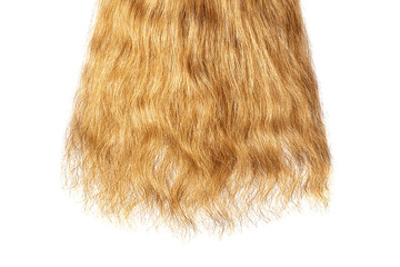 Long damaged straight brown hair isolated on white background