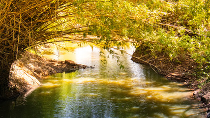 waterfall in forest