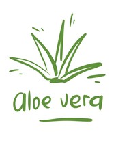 Aloe vera hand drawn icon. Healing and cosmetics herb. succulent line illustration on background. botanical. medicinal plant leaves cuttings. 