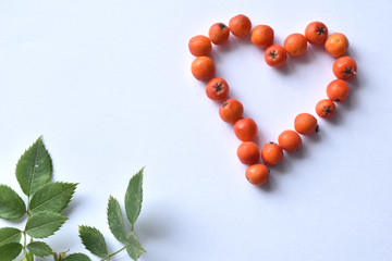 autumn still life heart of rowan