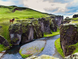  The sheer cliffs covered with green moss