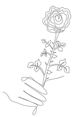 flower rose holds in hand drawn in one line