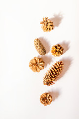 Christmas pine cones on white paper border composition. Creative flat lay, top view design