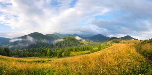 Amazing mountain landscape with fog and colorful herbs. Sunny morning after rain. Carpathian,...