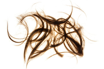 Cut out woman hair
