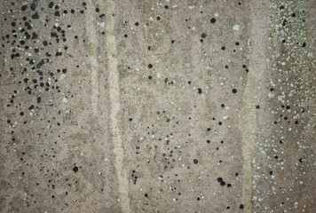 Old concrete texture background for design. Authentic Cemetery and Tombstone Texture Photograph. - Image - Image