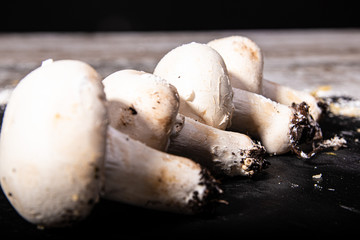 setas champiñones en fila fondo vegan 