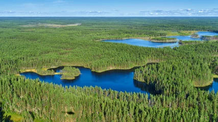 Foto op Aluminium Aerial view of Karelian wild taiga and lakes © vladimirzhoga