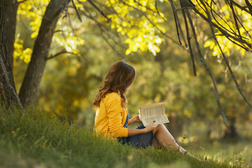 autumn portrait of a beautiful girl sitting on slope with an open book, woman reading novel on the...