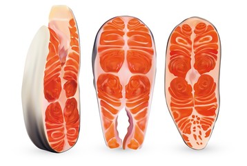 Set fillet salmon isolated on white background. 3D realistic slice of red fish. Beautiful steaks salmon. Fresh salmon close up. Vector illustration